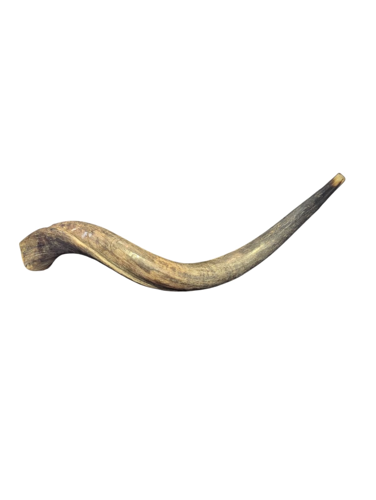 Voice of Yemen Shofar