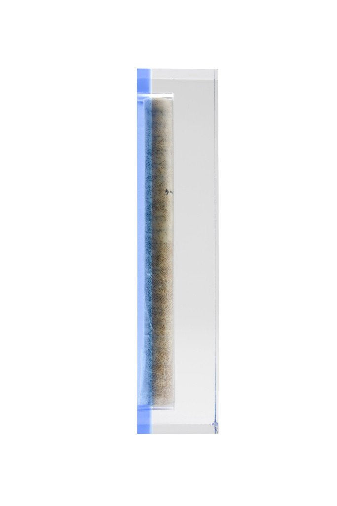 Translucent Baby Blue Acrylic Mezuzah - Small by Apeloig Collection