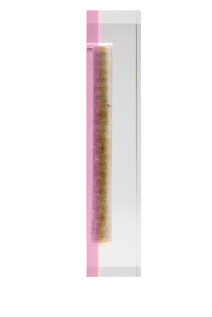 Translucent Pink Acrylic Mezuzah - Small by Apeloig Collection