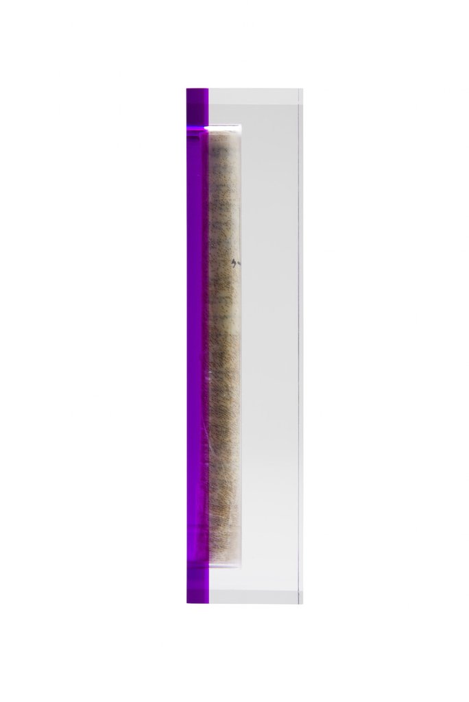 Translucent Violet Acrylic Mezuzah - Small by Apeloig Collection