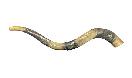 Silver-Trimmed Yemenite Shofar
