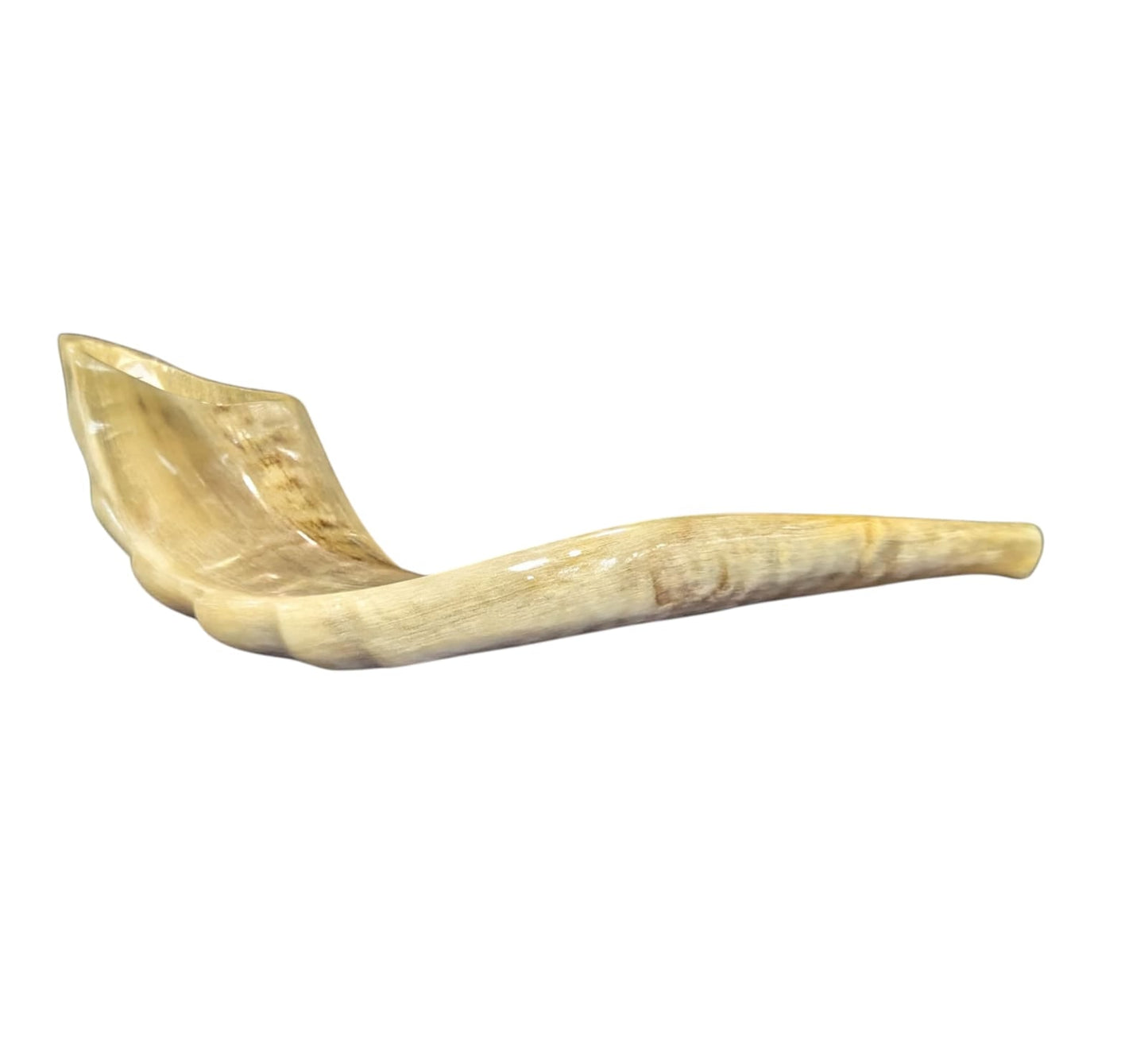 Negev Curve – Polished Sand Shofar