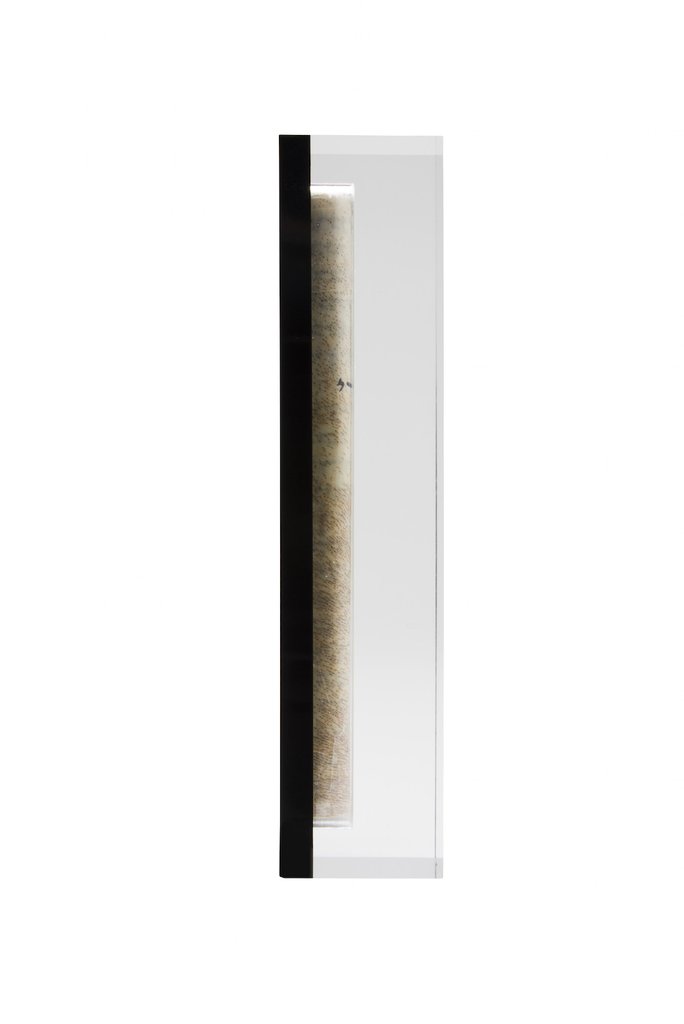 Translucent Black Acrylic Mezuzah - Small by Apeloig Collection