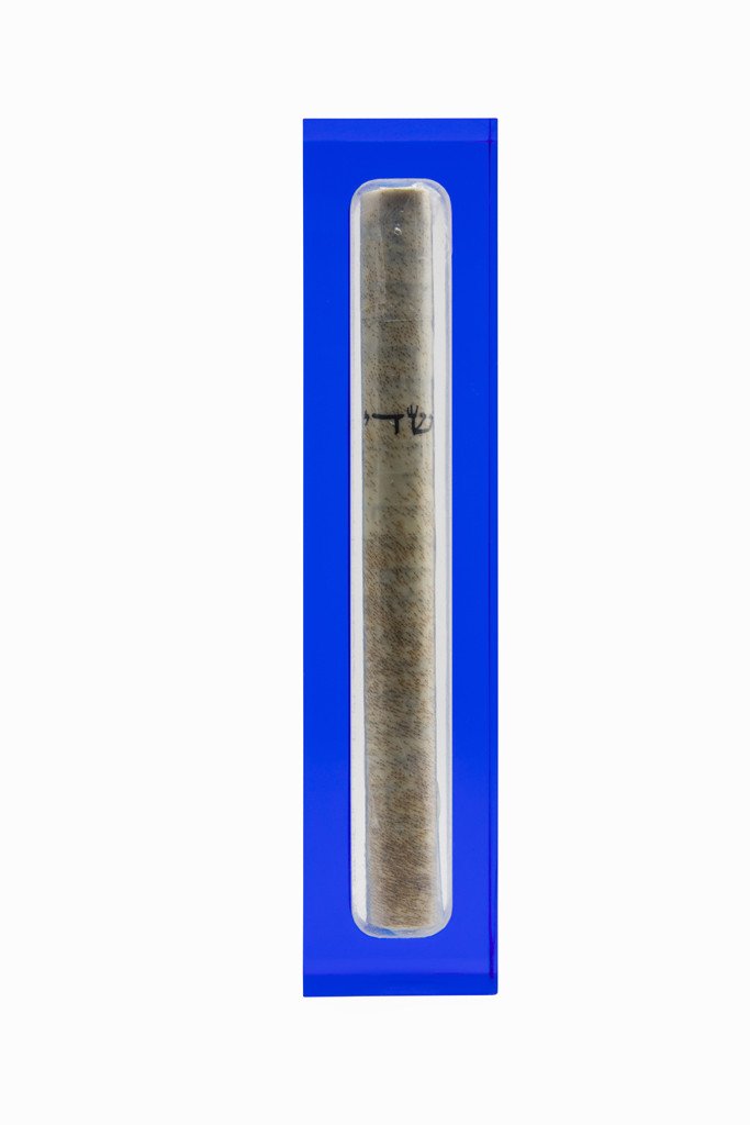 Translucent Blue Acrylic Mezuzah - Small by Apeloig Collection