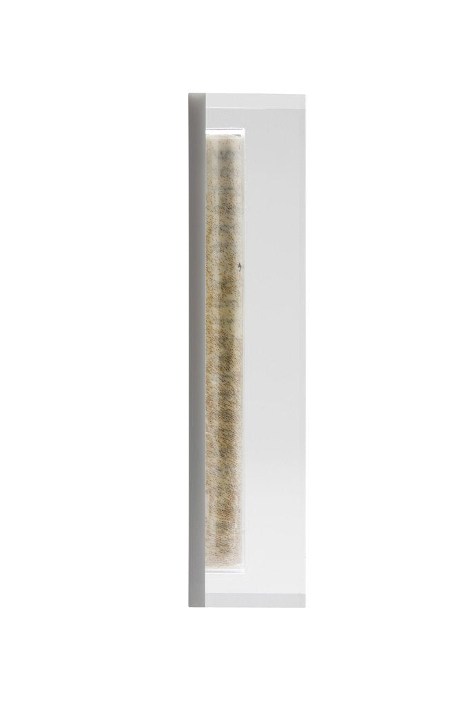 Translucent gray Acrylic Mezuzah - Small by Apeloig Collection