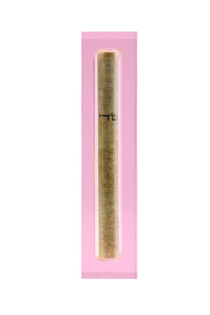 Translucent Pink Acrylic Mezuzah - Small by Apeloig Collection