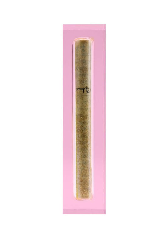 Translucent Pink Acrylic Mezuzah - Small by Apeloig Collection
