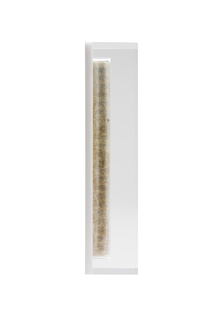 Translucent White Acrylic Mezuzah - Small by Apeloig Collection
